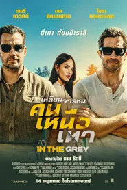 โปสเตอร์ย้อนหลัง: เหลี่ยมจารชน คนเหนือเทา