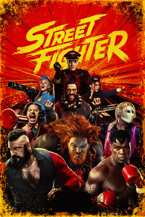 โปสเตอร์: Street Fighter